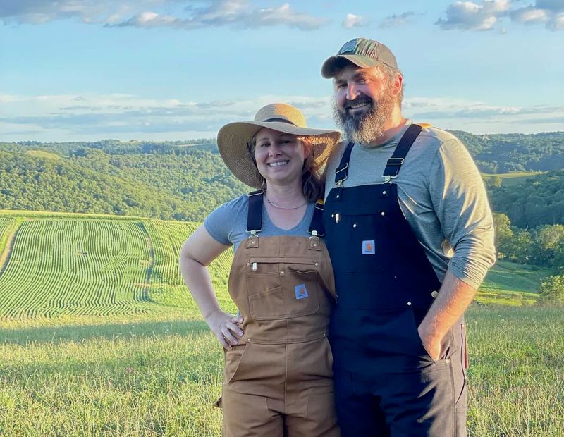 Pastoral farmland with green rolling hills and morning light